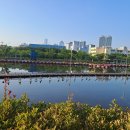 거울공원 Daum카페