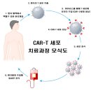 Car랑