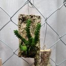 카페 사월오일 이미지