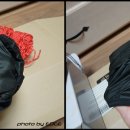 위고(WIGO) 이미지