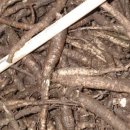 초리농장 이미지