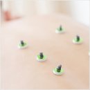 양지한의원 이미지