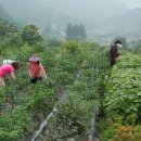 순배농장 이미지