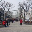 남대천버드나무쉼터 이미지