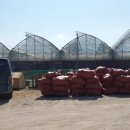 월호농장 이미지