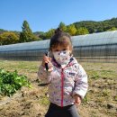 서우농장 이미지