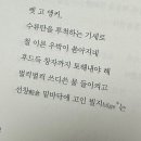 욜로스페이스