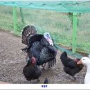 유민상농장 이미지