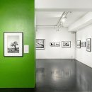 올리브안경갤러리 이미지