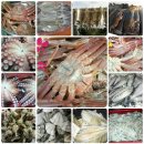 갈매기 마을 이미지