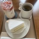 거북섬 카페 추천, 카페화, 분위기 좋은 대형카페 솔직 후기