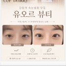 강동시니어상담카페 - 강동구 동남로 888 | [강동역 속눈썹펌 맛집] 유오르뷰티 바짝 장인 원장님께 받고 온 솔직 후기