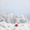 횡성 태기산 (2월23일)금요일 이미지