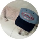 오늘유치원 | 여수 애견유치원 [소소하개] 내돈내산 등원 후기