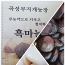 단양 녹즙