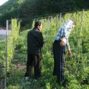 거진전망대펜션 이미지