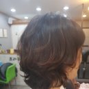 프라쥬헤어