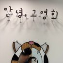 안녕,고양이 | 안녕 고영희 이천 대형 고양이카페 방문 후기♡