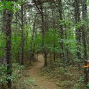 진두경로당 이미지