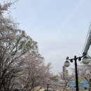 돈짱 | [잠실] 방이동 냉동삼겹살 냉삼 맛집 돈짱 냉삼겹 전문점 추천 후기 / 잠실 공갈호떡