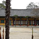 산호당 - 군포시 군포로 530 | 산호당