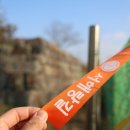 장암진성 이미지