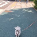 끄레므멍 이미지