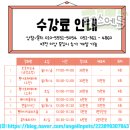 카카몽 애견미용실 | 🐈광안리 펫 스테이션 총정리ㅣ아이랑 갈만한 곳 ,광안역 이색 데이트 추천