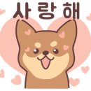 미미애견 이미지