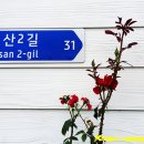 호산약국 이미지