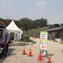 칠곡양떼목장 이미지