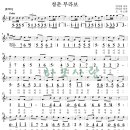 청춘부라보