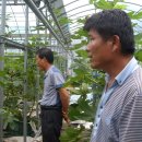 대도농장 이미지