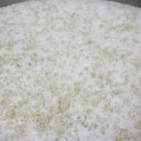 대전글꽃초등학교 이미지