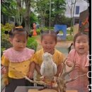 봄빛어린이집 이미지