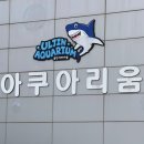 국도카정비 | 남편이랑 자동차 7번국도 전국일주 1일차 - 강원도...레일,울진아쿠아리움,왕피천 케이블카/포항 철길숲