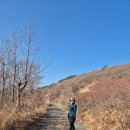 샘물상회 | 영알챌린지 천황산, 고헌산 1일 2산!