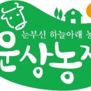 운상농장 이미지