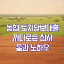 경산농협 시장지점 | 농협 토지담보대출 한도 까다로운 심사 통과 노하우