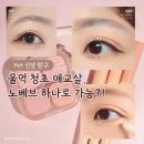 청초로 | 울먹 청초 애교살 메이크업, 노베브 팔레트 01 웜 후기