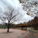 청산힐링샘 이미지