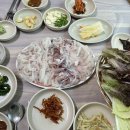 춘해회센타