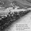 미투헤어샵 - 북구 서하로 139 | 미투헤어샵