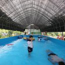 산새소리캠핑장 이미지