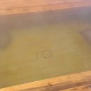 편백 해수탕 사우나 이미지