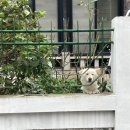 창조꽃집 이미지