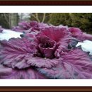 계명공원 이미지