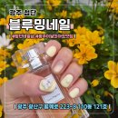 광주 첨단 네일숍 [블루밍네일첨단점] 5월 이달의 아트