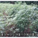 고사리민박 이미지