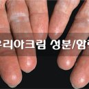 태선약국